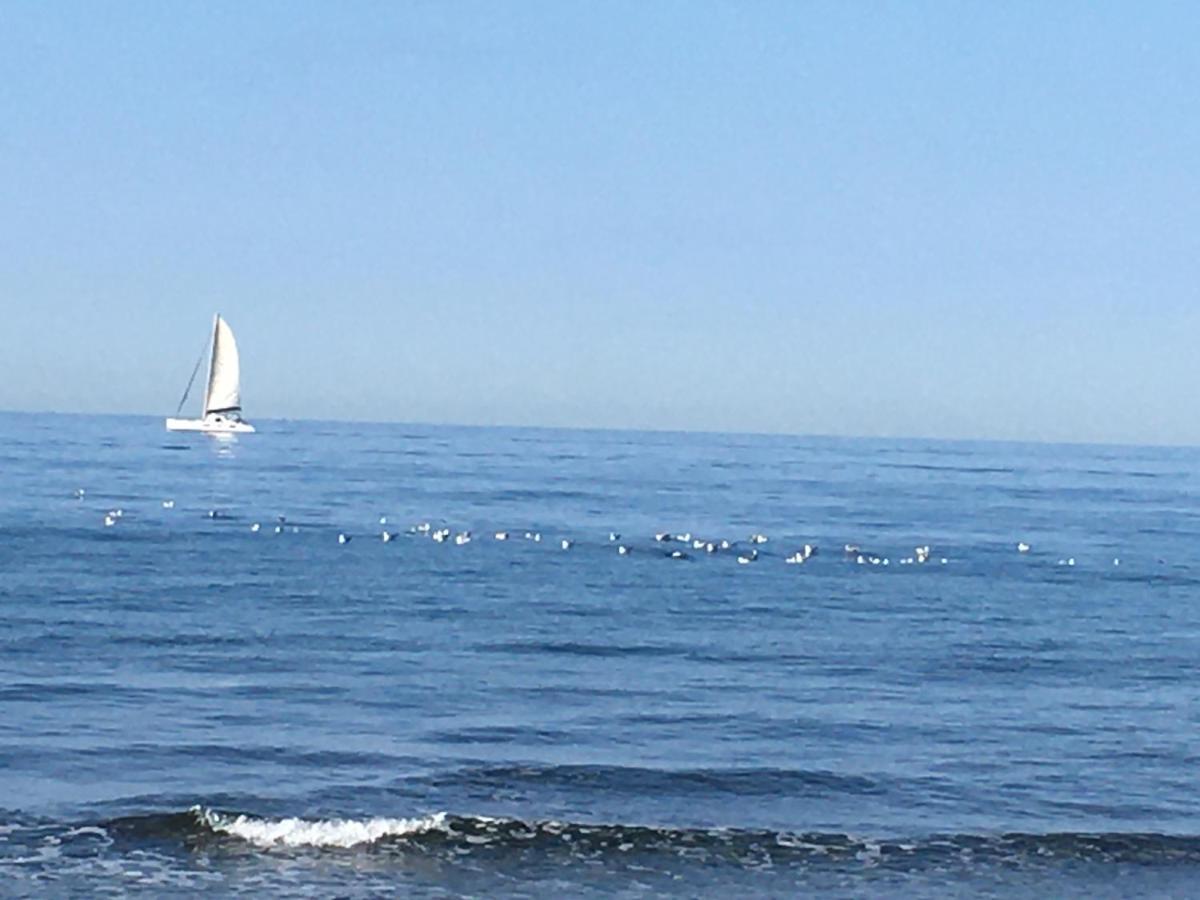 La Mouette Bleue Maison De Ville Individuelle Et Climatisee مارتيج المظهر الخارجي الصورة